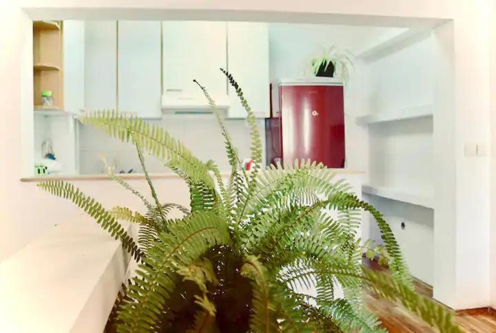 Mirrors and light - Apartman sa 1 Spavaćom Sobom - 3