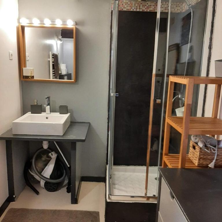 La Jovine Sur les hauteurs de cassis T2 Classé - Appartement 1 Chambre - 12