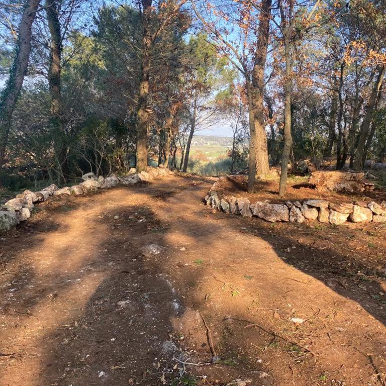 Gioia Infinita - Villa con 3 Camere da Letto - 34