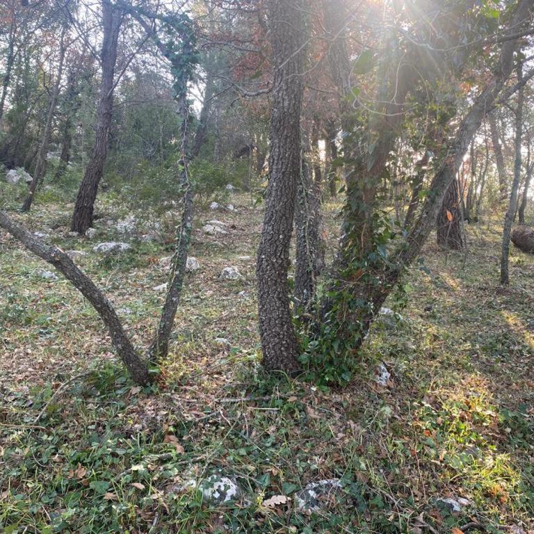 Gioia Infinita - Villa con 3 Camere da Letto - 33