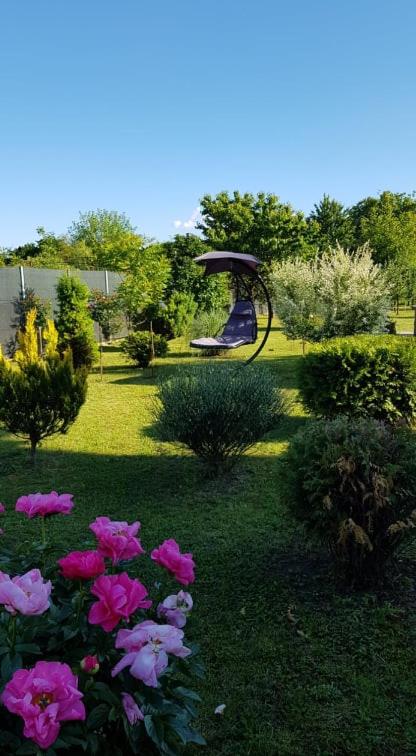 Una Valley Bihać - Villa - 19