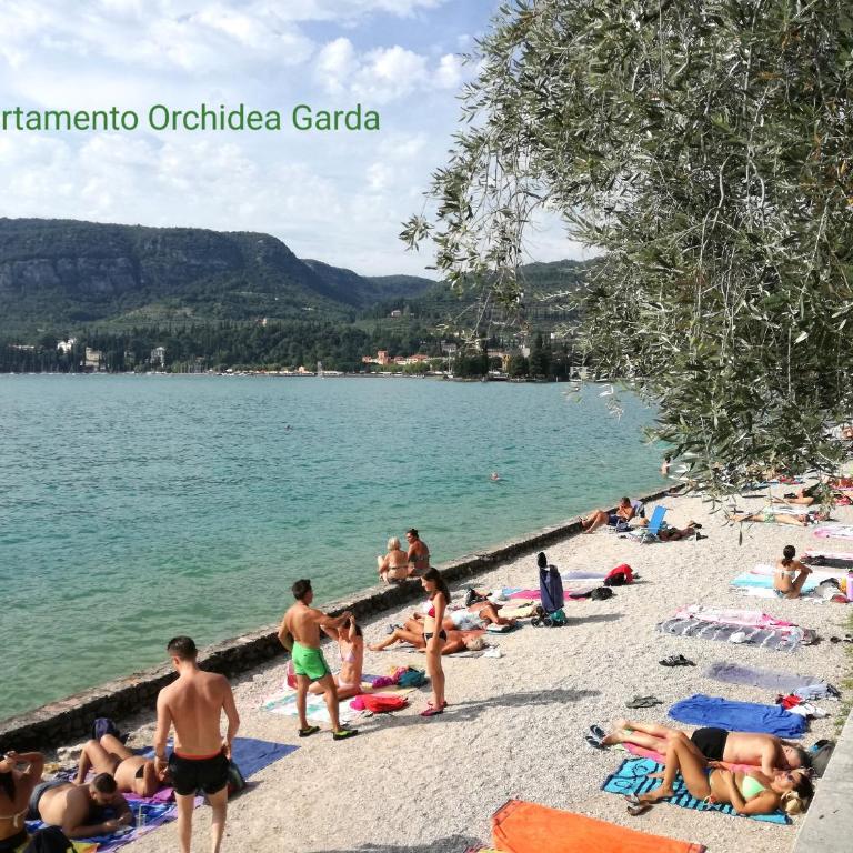 Appartamento Orchidea Garda - Appartamento con 2 Camere da Letto - 50
