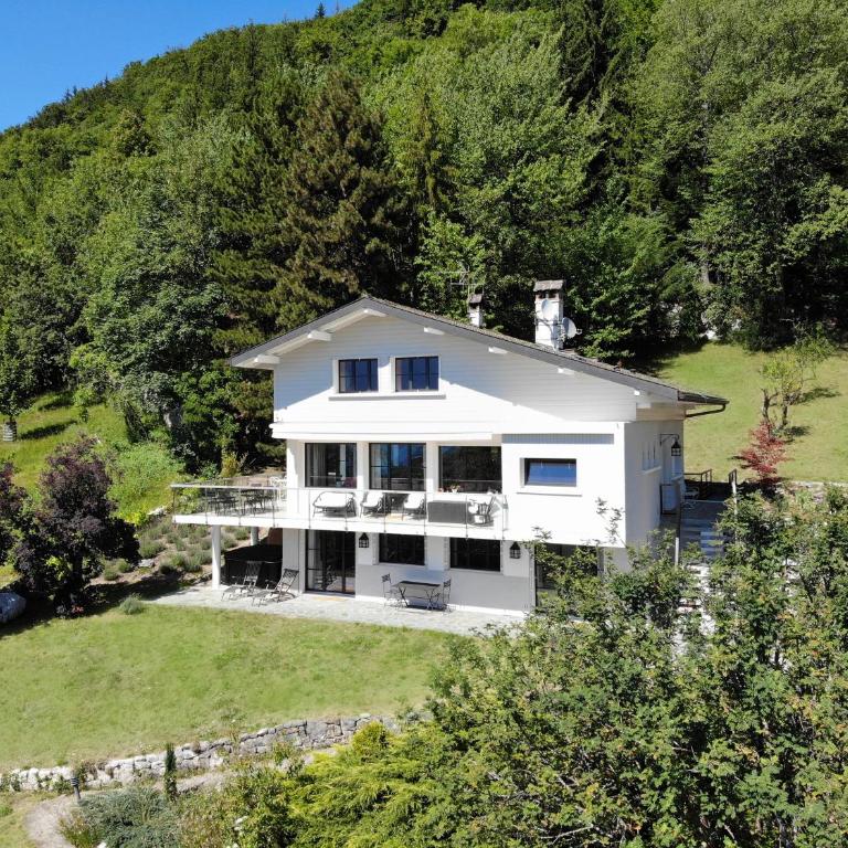 Vue exceptionnelle sur lac d'Annecy et Montagnes - Villa - 1