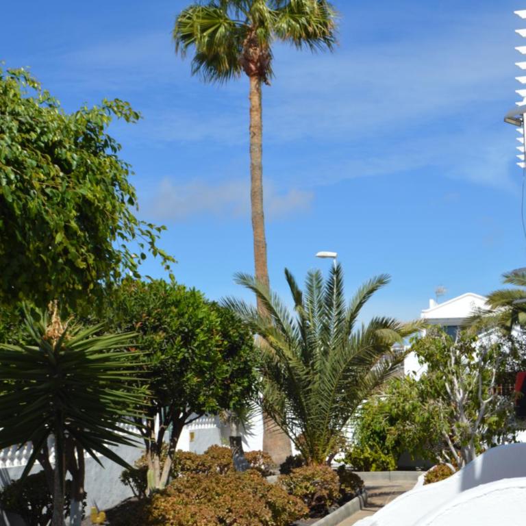 Lava Teneguia, 5 guests in 2 bedrooms - Apartamento de 2 dormitorios - 10