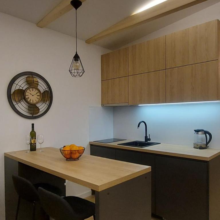 SNJEŽNA ČAROLIJA lux - Apartman sa 1 Spavaćom Sobom - 10