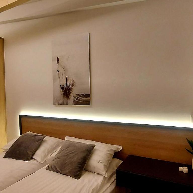 SNJEŽNA ČAROLIJA lux - Apartman sa 1 Spavaćom Sobom - 11