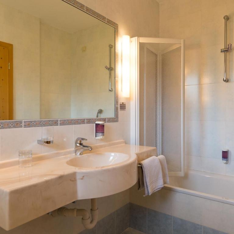 Aktiv Hotel Schönwald - Habitación Doble con vistas a la montaña - 1