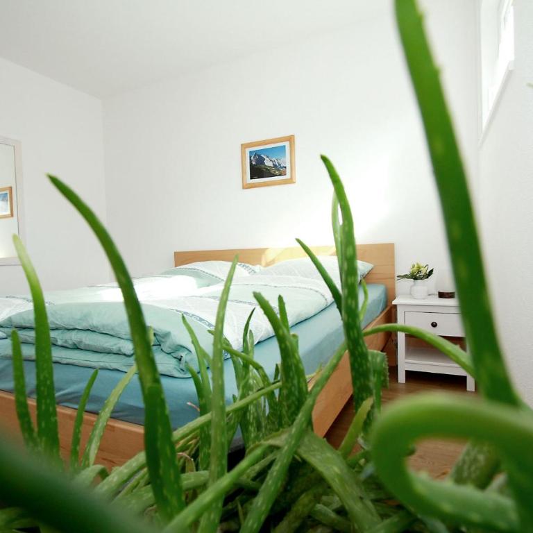 Ferienwohnung Fembacher - Apartment mit Terrasse - 19