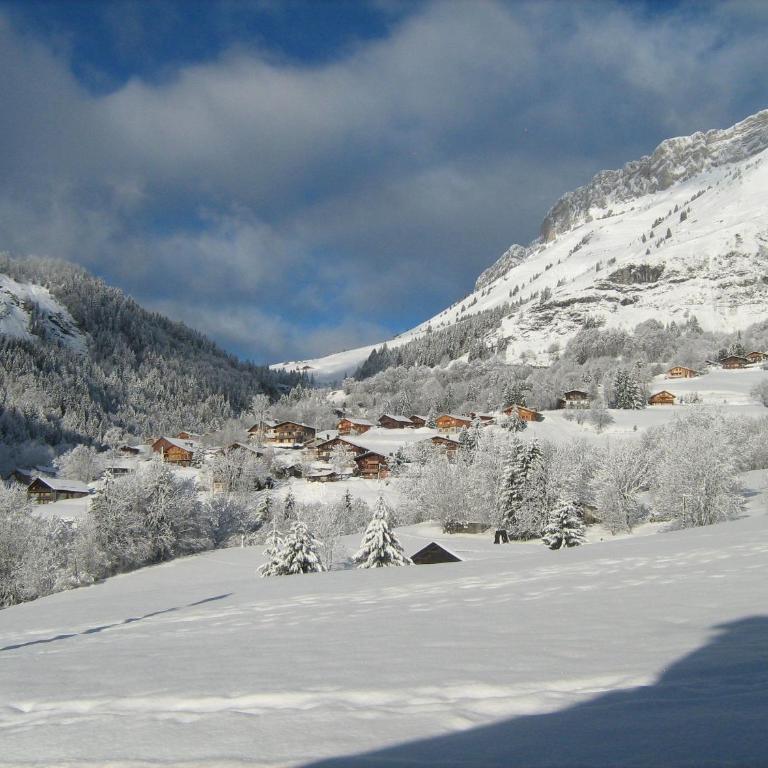 Les Clarines - 3 chambres et jardin - magnifique vue - Appartement 3 Chambres - 25