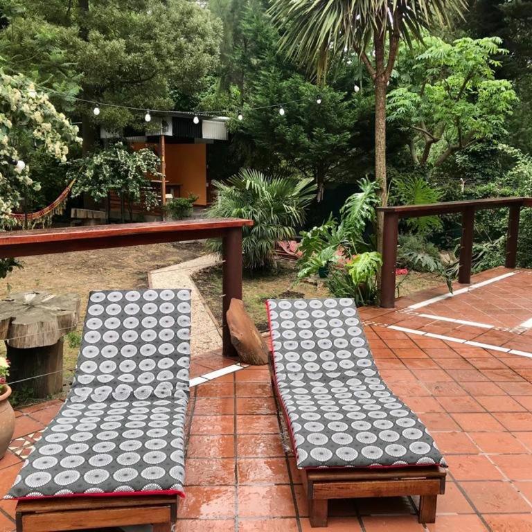 Los 3 Gringos Casa Bosque P Ramos - Vacation Home - 13
