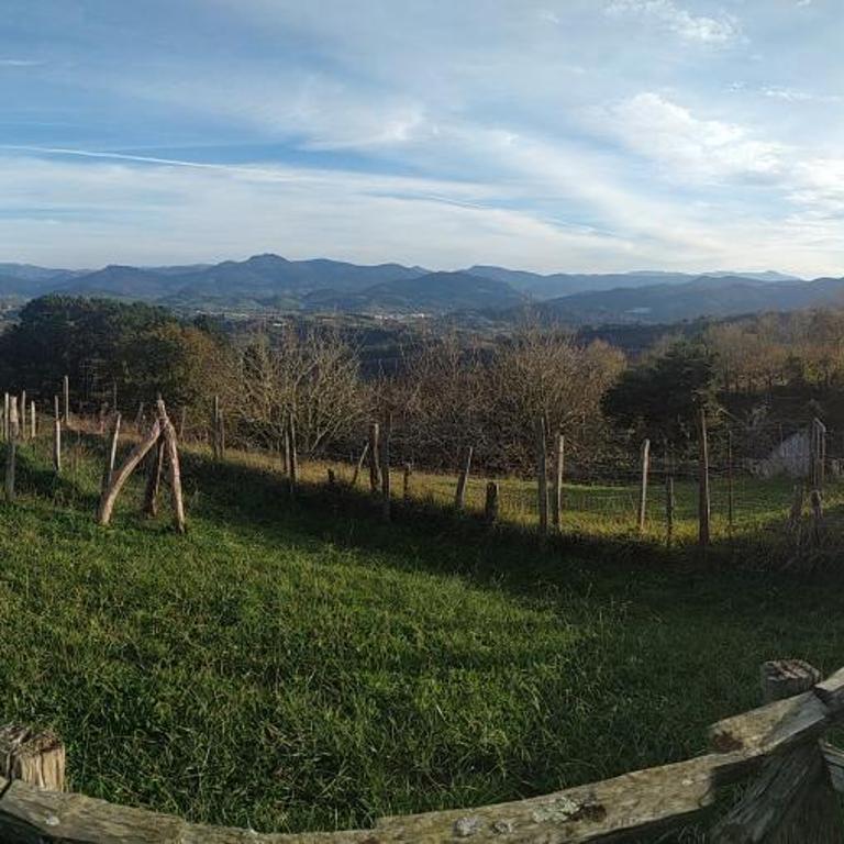 Iturritxo Landetxea - Habitación Doble - 1 o 2 camas - 23