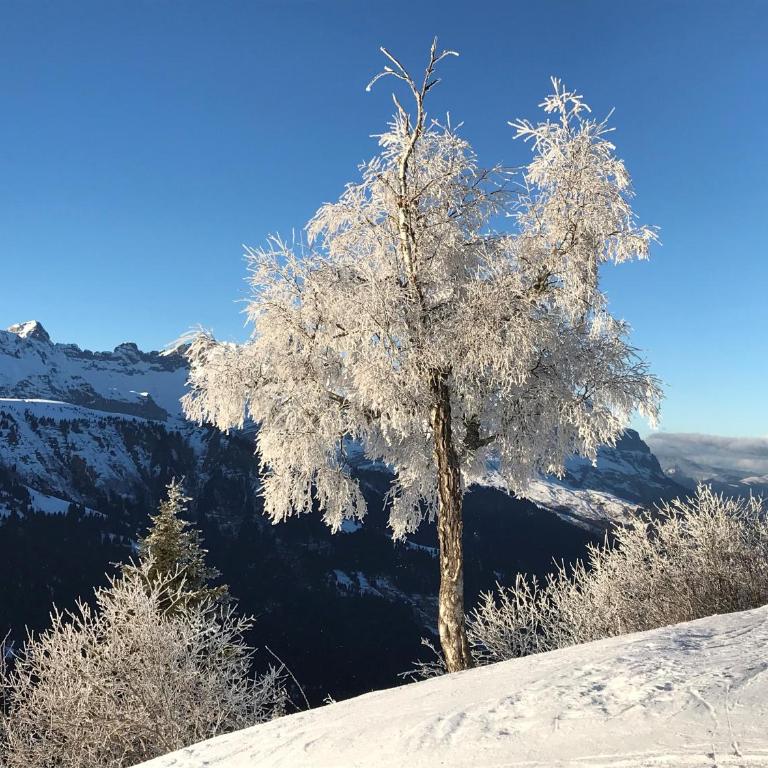 Luxury 2 Bedroom Apartment with view of Mont Blanc - Appartement avec Vue sur la Montagne - 39