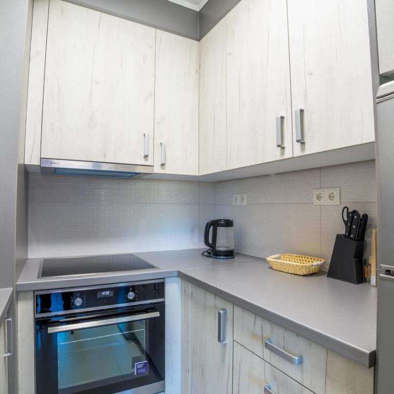 Apartman EpiCent - Deluks Studio sa Bračnim Krevetom (King-size) - 17