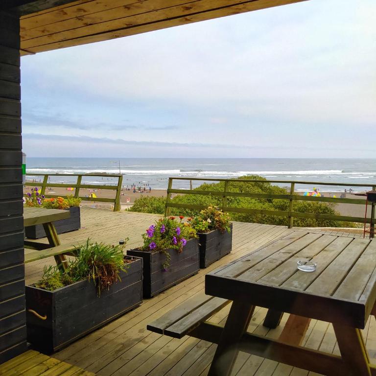 Mar de Lobos - Apartamento con vistas al mar - 14
