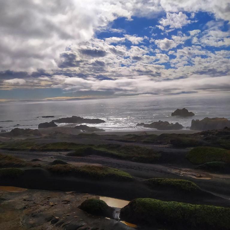 Mar de Lobos - Apartamento con vistas al mar - 19