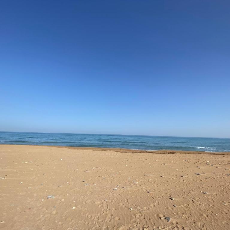 Loft estilo industrial en playa de las marinas!!! - Apartamento de 1 dormitorio - 18