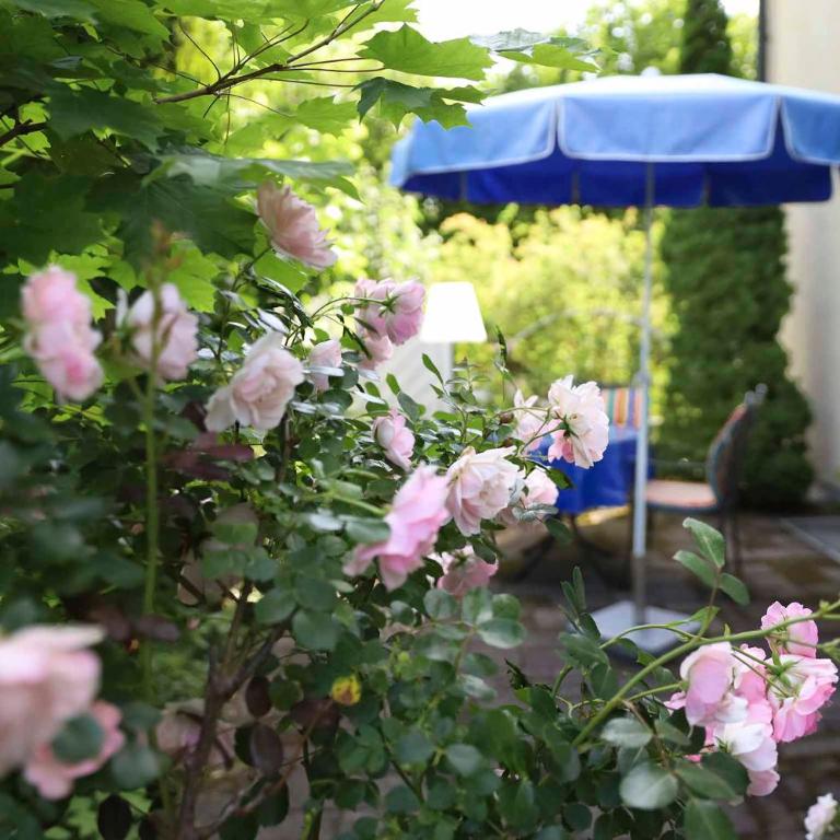 Ferienwohnung Birner - Apartment mit Terrasse - 11