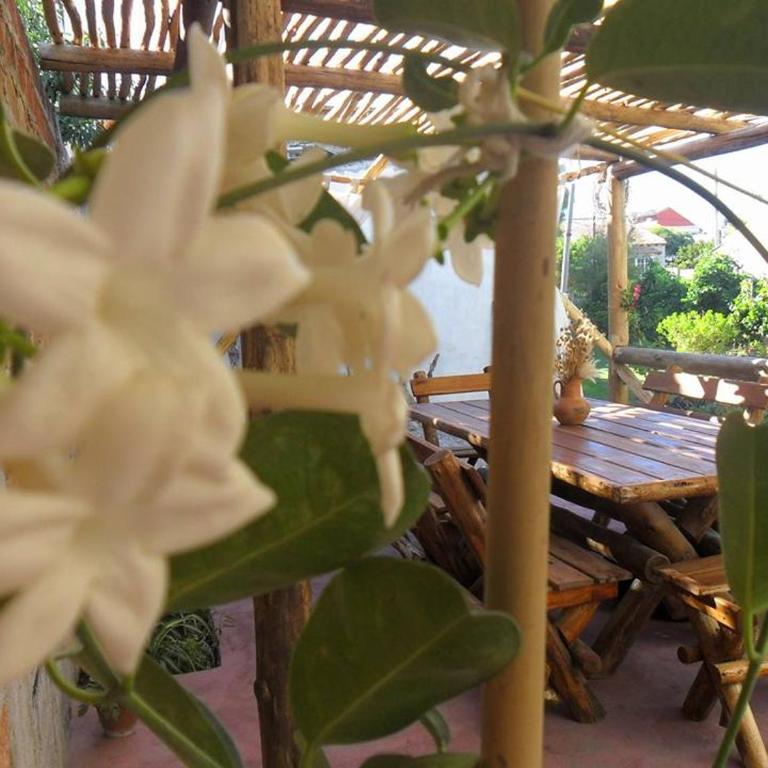 Oasis Pa Clau - Three-Bedroom House - 15