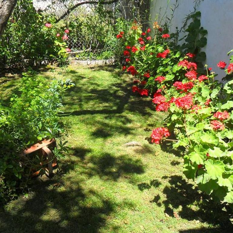 Oasis Pa Clau - Three-Bedroom House - 16