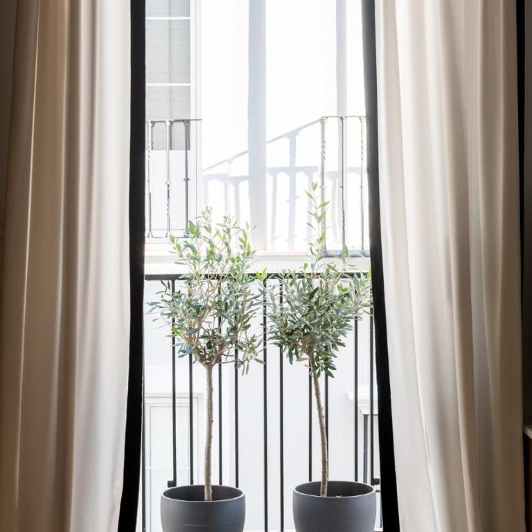 Hommyhome San Lorenzo - Apartamento Superior - 19
