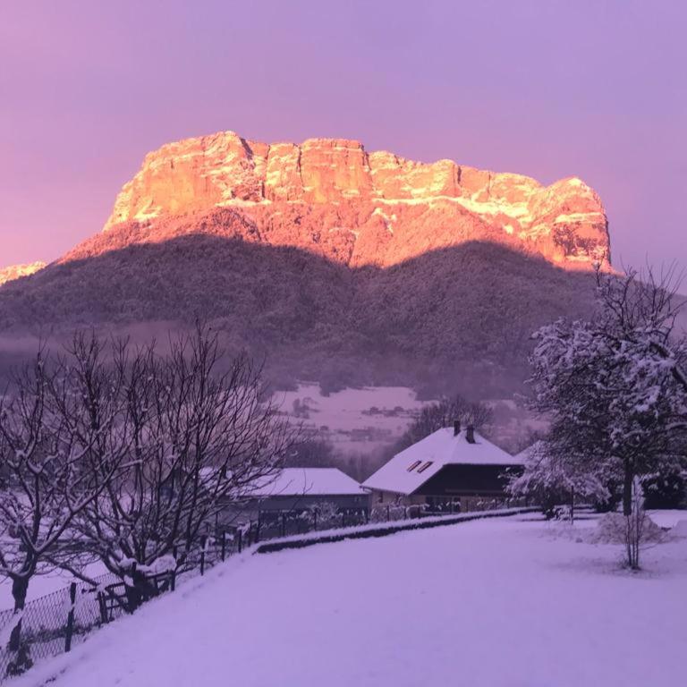 Le Gîte de la Maison Soleil, entre lac et montagne - Appartement - 17