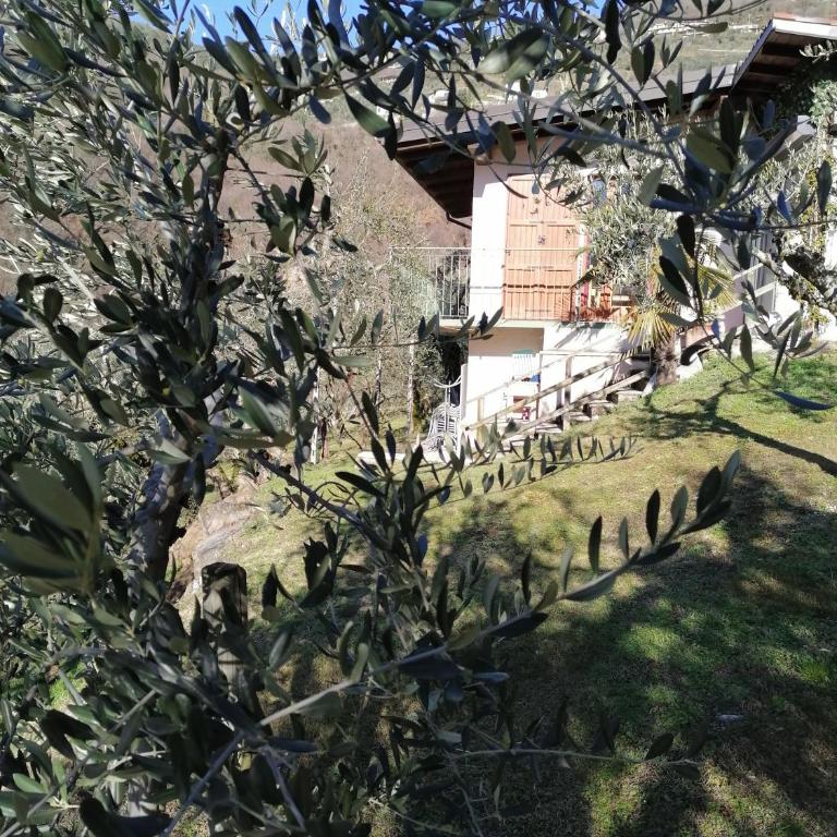 Casetta delle olive - Casa con 1 Camera da Letto - 15