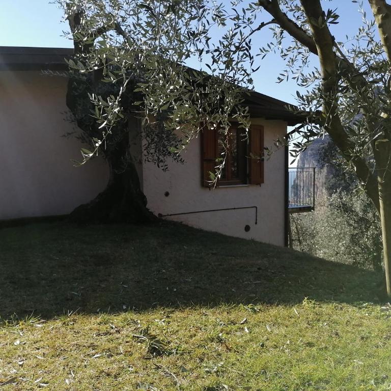 Casetta delle olive - Casa con 1 Camera da Letto - 20