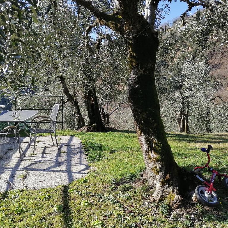 Casetta delle olive - Casa con 1 Camera da Letto - 24