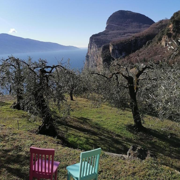 Casetta delle olive - Casa con 1 Camera da Letto - 34