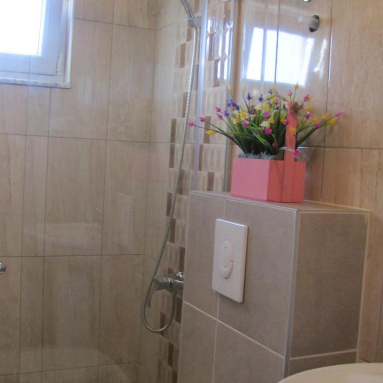 Vila Nina Donji Štoj - Apartment with Balcony - 7