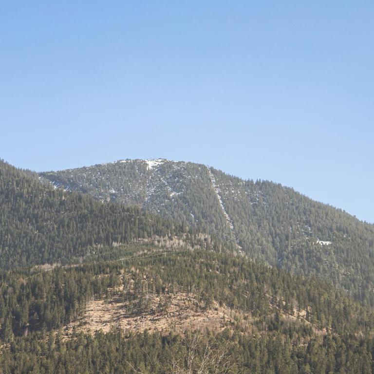 Partnach - Apartment mit Blick auf die Berge - 32