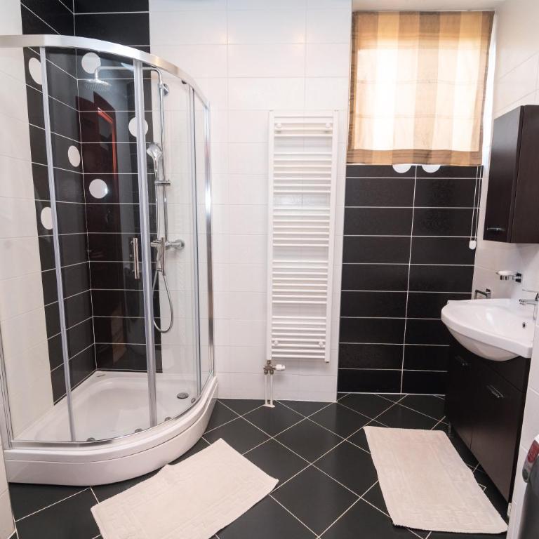 Heart of Ferhadija - Deluks Apartman - 5