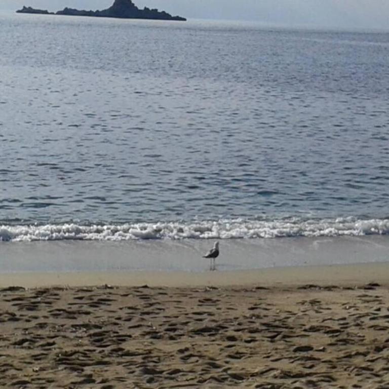 Cozy 1 bedroom flat near Petrovac beach - Apartment mit 1 Schlafzimmer - 22