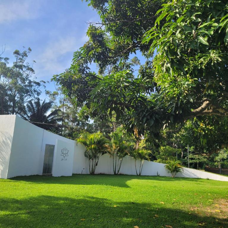 Lotus Suite - Apartamento - 20