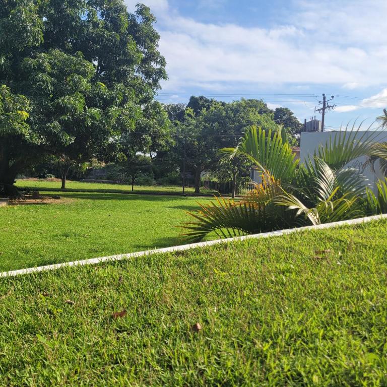 Lotus Suite - Apartamento - 21