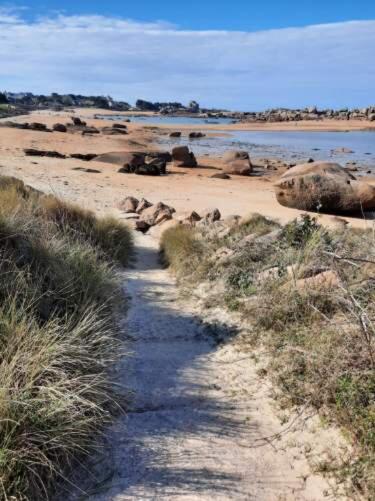 Appartement plage de Trestraou 45m2 - Apartamento de 1 dormitorio - 16