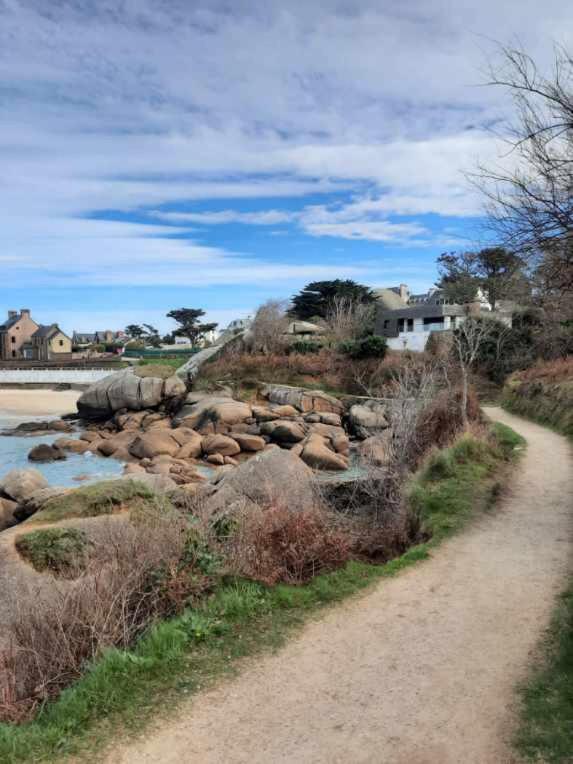Appartement plage de Trestraou 45m2 - Apartamento de 1 dormitorio - 15