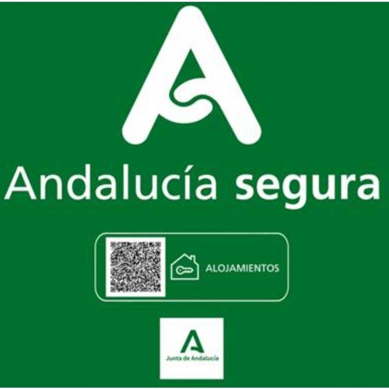 TODOSIERRANEVADA ZONA BAJA - EDIFICIO ALHAMBRA - Junto a los Telecabinas - Apartamento Estándar - 15