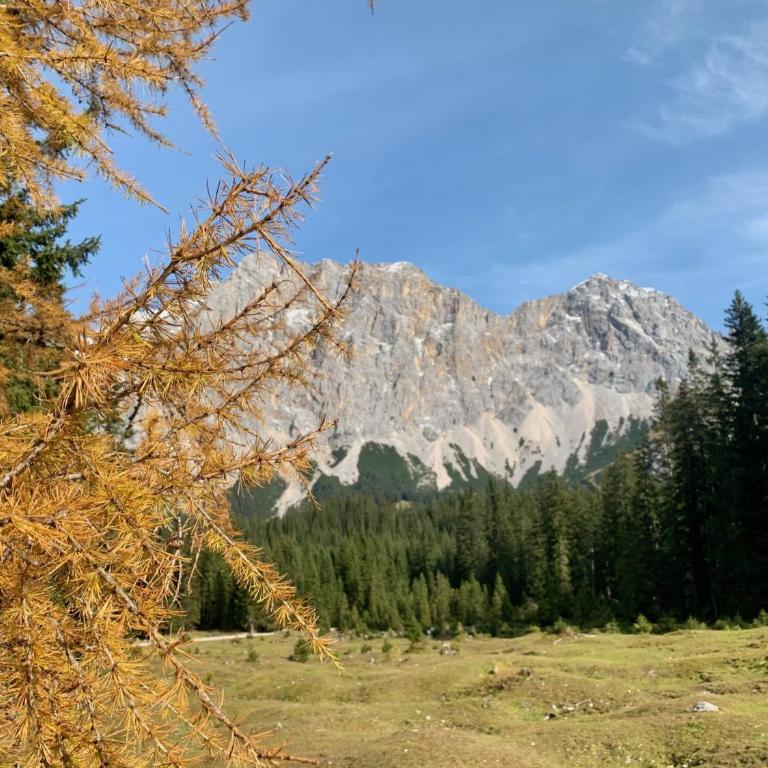 Das Wetterstein - Apartment mit 2 Schlafzimmern - 21