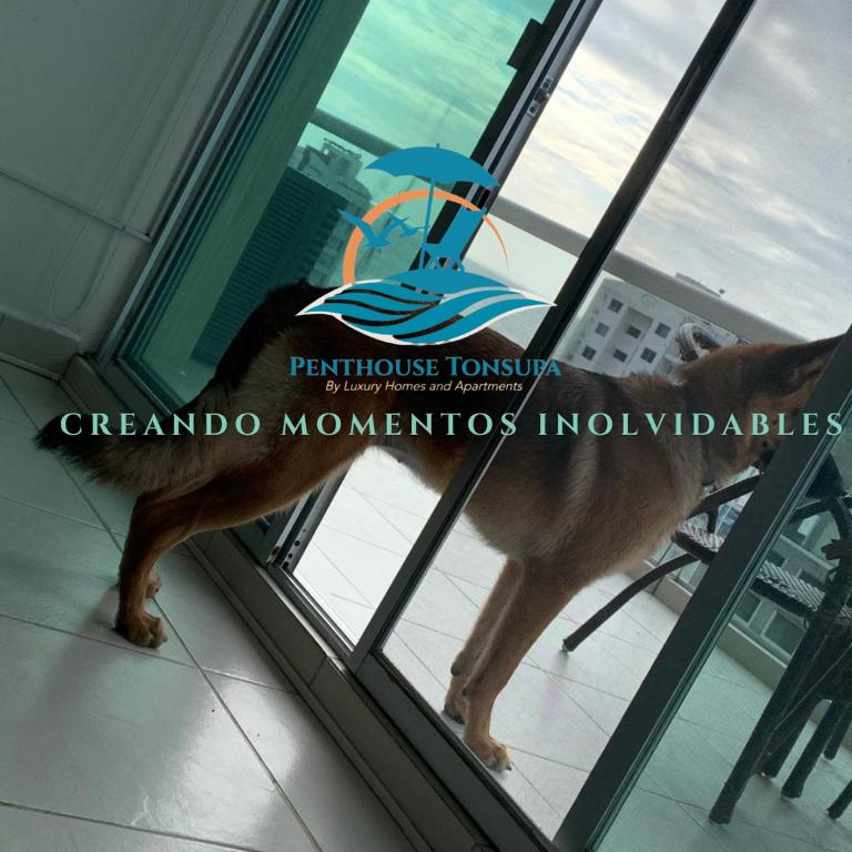 Discoverequador - Apartamento de 3 dormitorios - 83