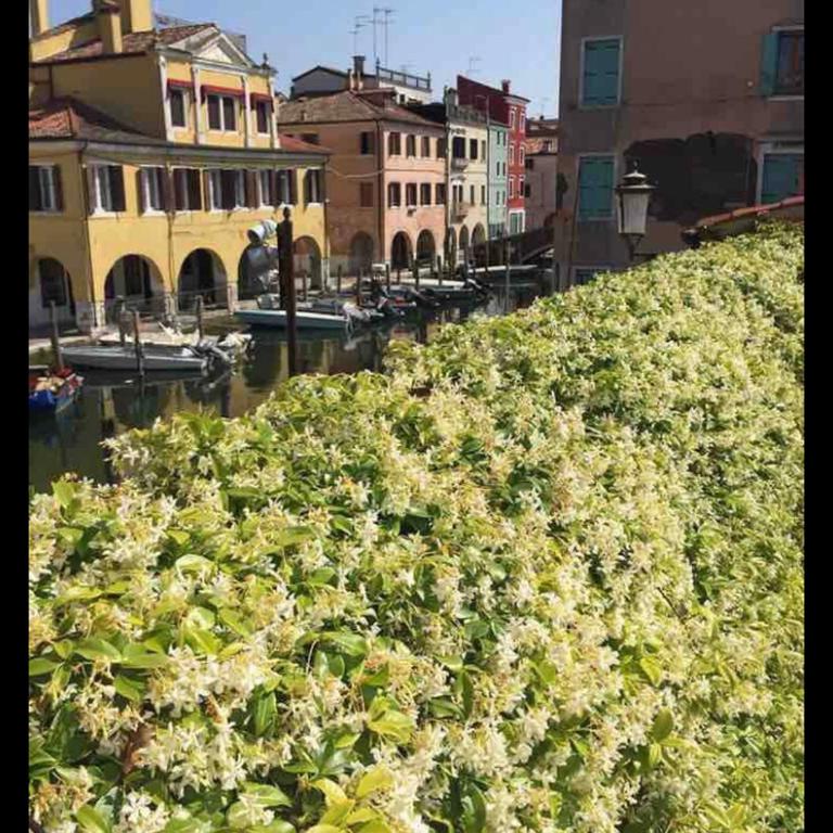 Casa Bastianello favolosa vista sul Canale Vena - Appartamento con 3 Camere da Letto - 29