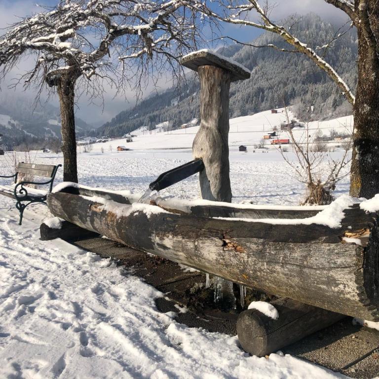 Das Wetterstein - Apartment mit 2 Schlafzimmern - 57