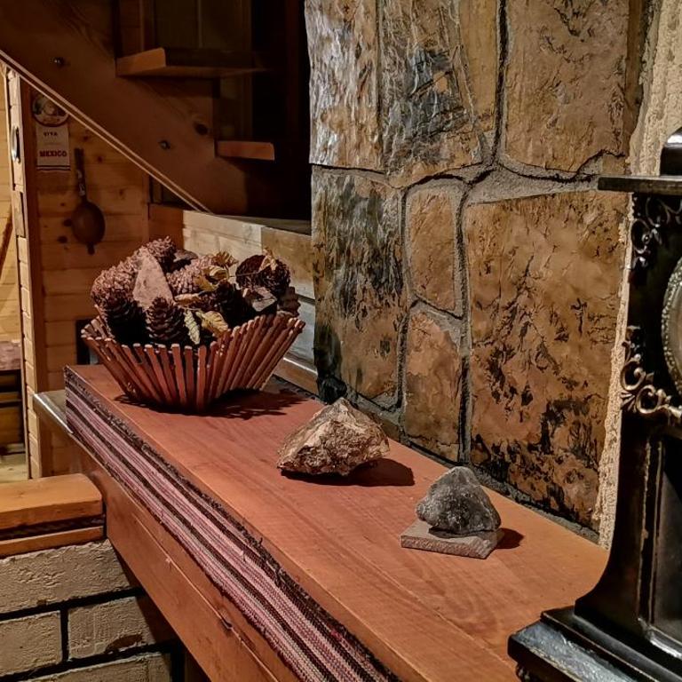 VILA PAVLOVIC - Vikendica - 29