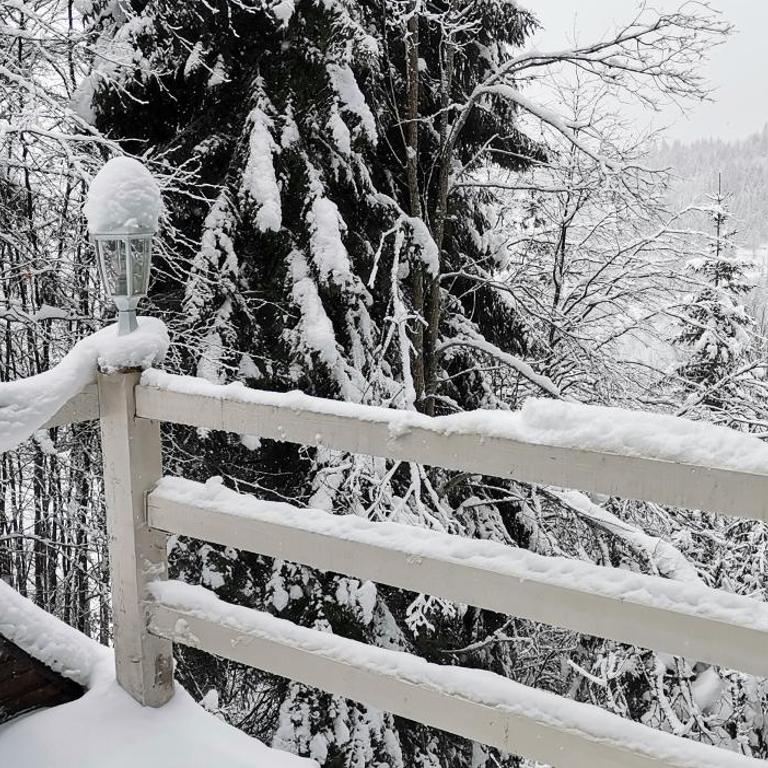 VILA PAVLOVIC - Vacation Home - 38