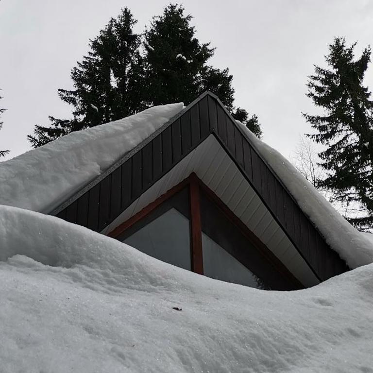 VILA PAVLOVIC - Vacation Home - 40