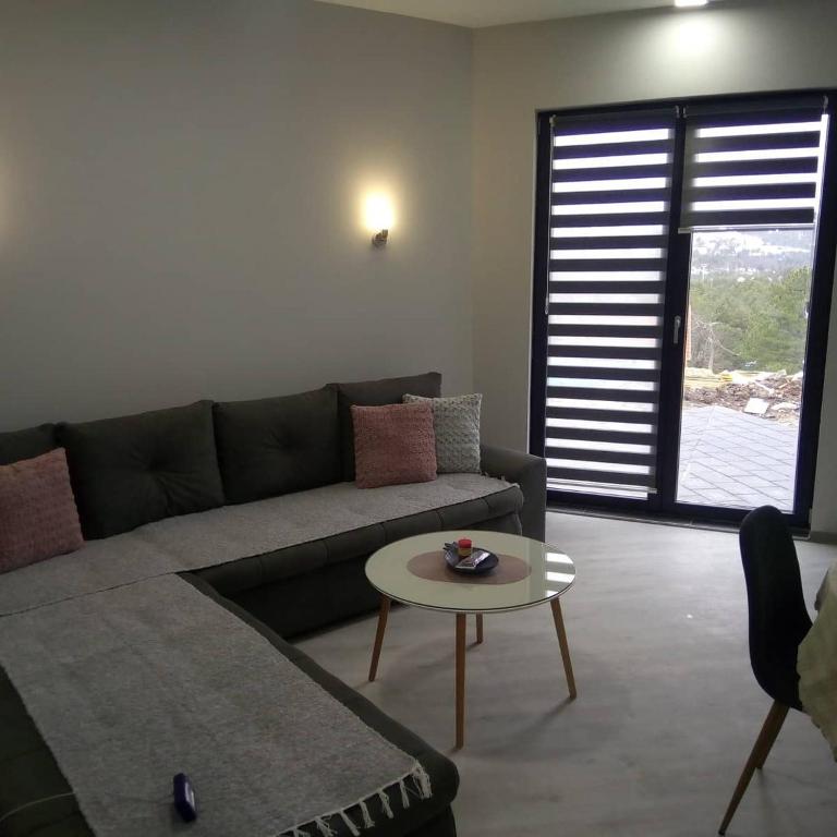 Apartman Riboškić Divčibare 2 - One-Bedroom Apartment - 2