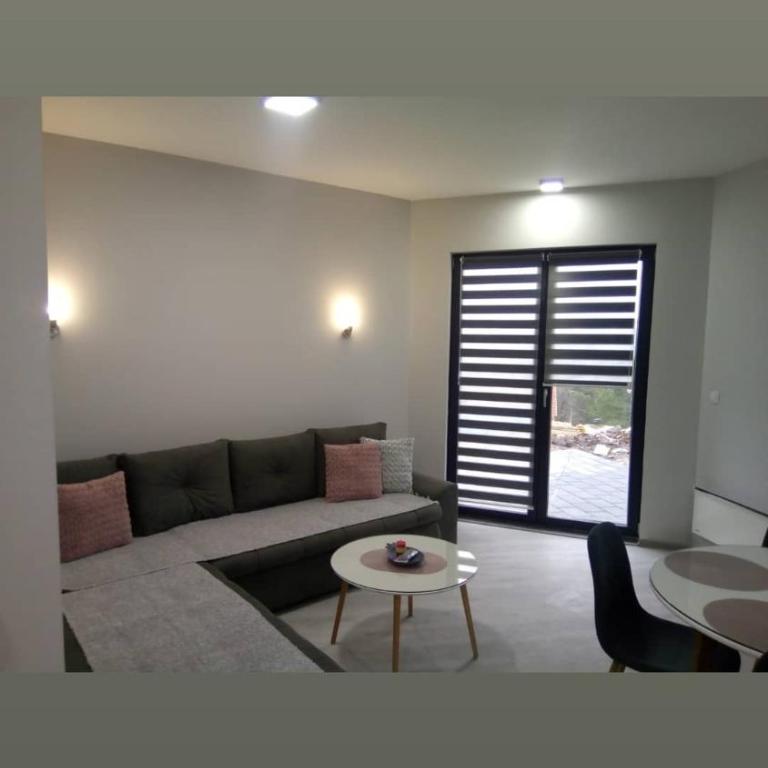 Apartman Riboškić Divčibare 2 - One-Bedroom Apartment - 9