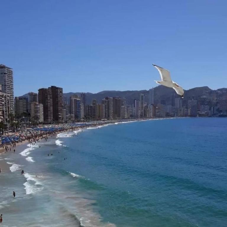 SAN REMO Levante beach apartments - One-Bedroom Apartment - 33
