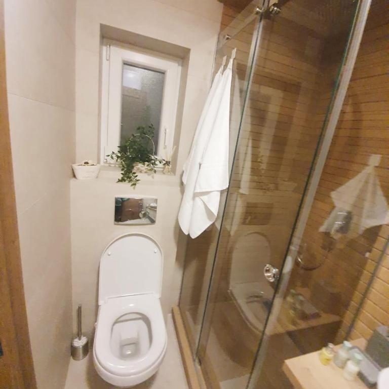 Apartment My Home - Apartman sa 1 Spavaćom Sobom - 21