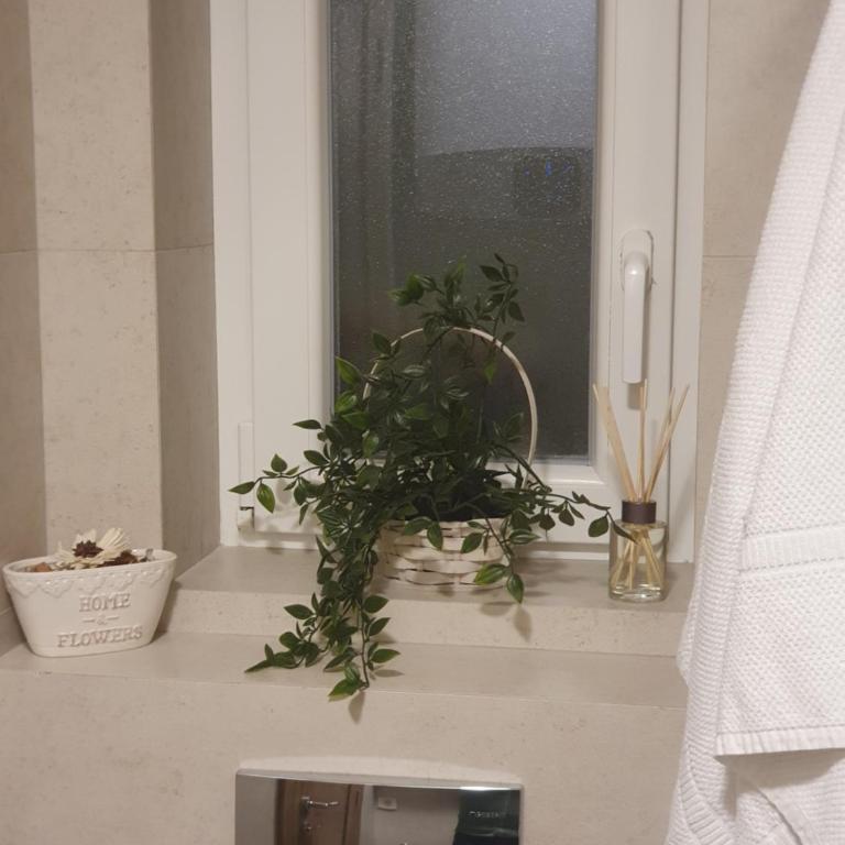 Apartment My Home - Apartman sa 1 Spavaćom Sobom - 20